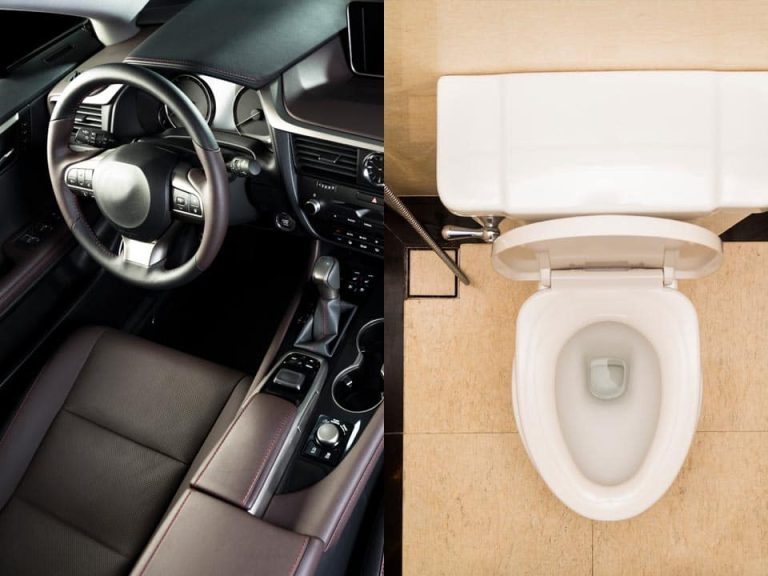 Estudo conclui que carros podem ser mais sujos que privadas